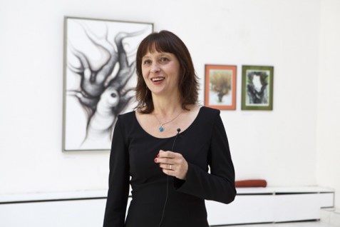 Monika Sichrovská, Zeměmalba 2011